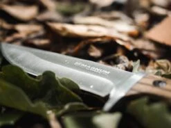 Magnum Zebra Drop -Magnum Store magnum zebra drop 02sc337 6 1280x1280