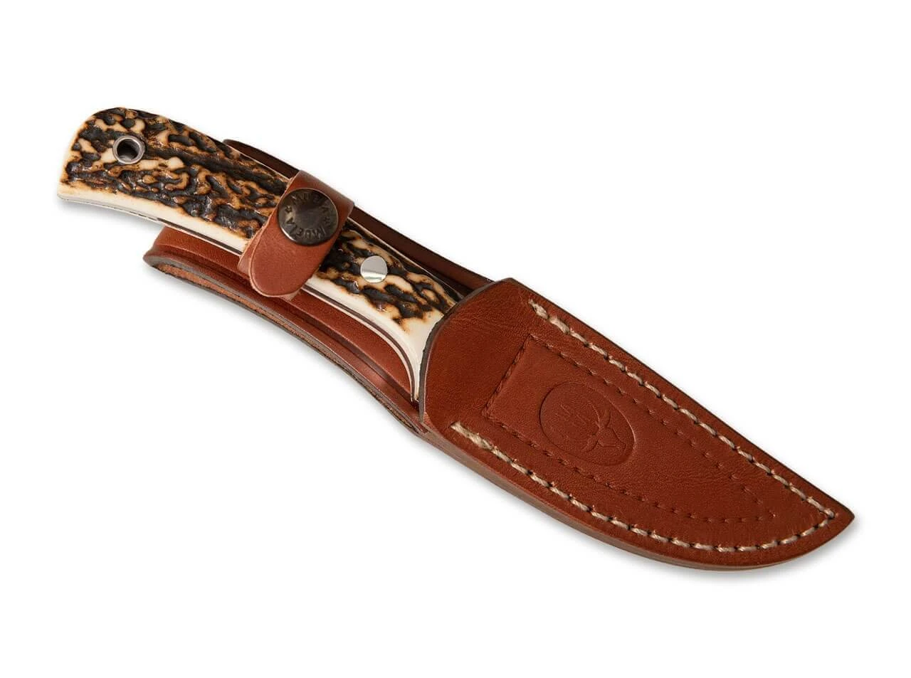 Terrier 4 Terrier – Bild 2